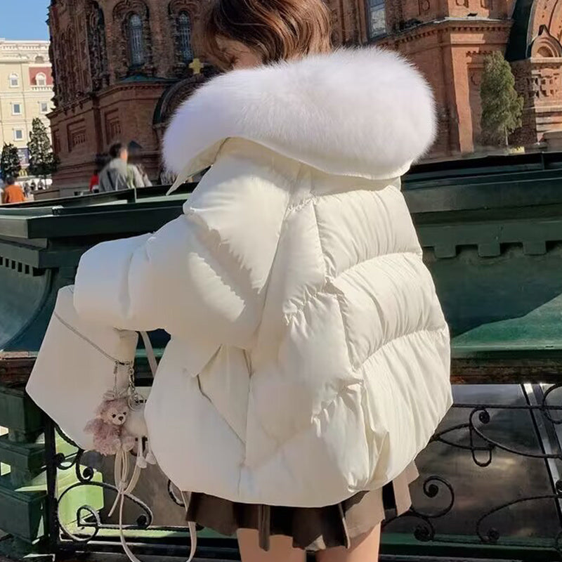 Women’s Short Fur Collar Jacket